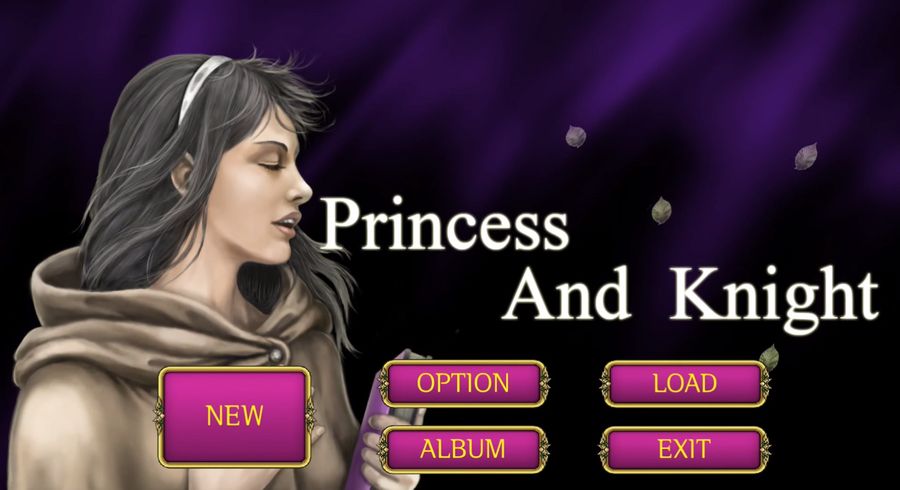 Princess and Knight